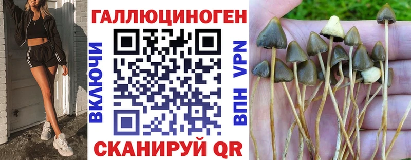 цены наркотик  Верхотурье  blacksprut сайт  Псилоцибиновые грибы Magic Shrooms 